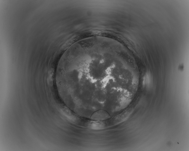 X0000091550275200708171311