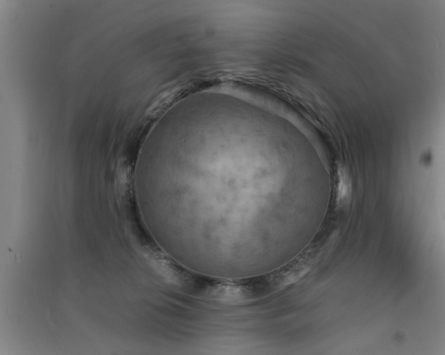 X0000091550276200708171311