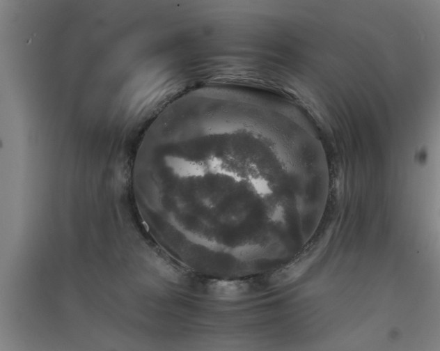 X0000091550277200708171311