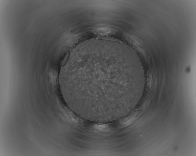 X0000091550283200708171311
