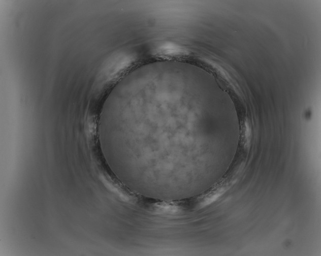 X0000091550284200708171311