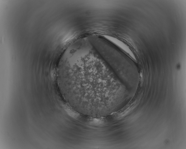 X0000091550285200708171311