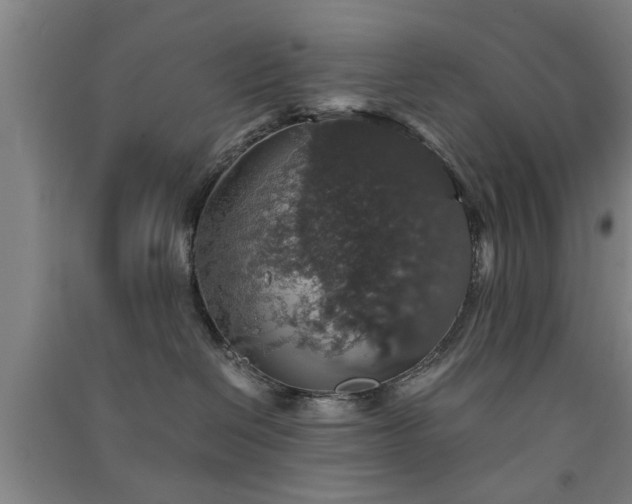 X0000091550286200708171311