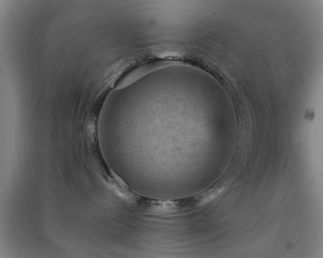 X0000091550288200708171311