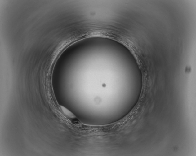 X0000091550289200708171311
