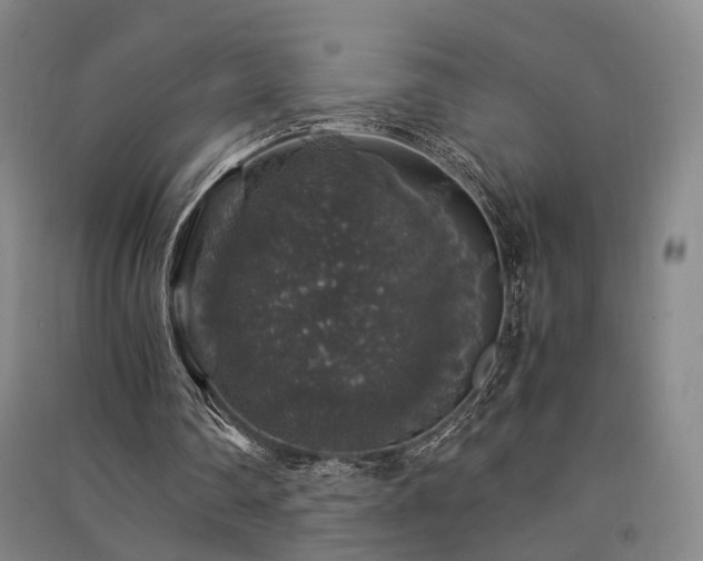 X0000091550290200708171311