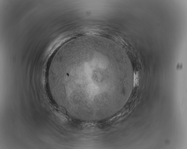 X0000091550291200708171311
