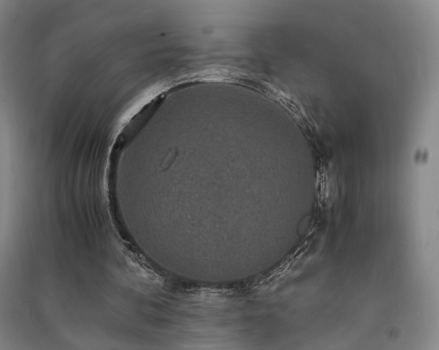 X0000091550292200708171311
