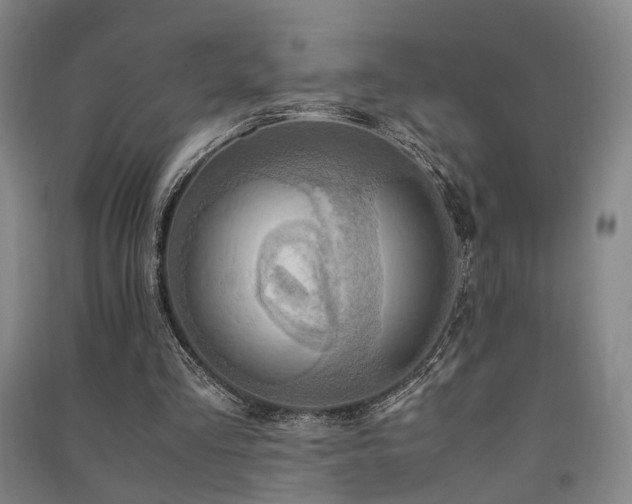 X0000091550293200708171311