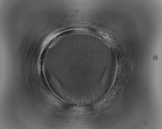 X0000091550294200708171311