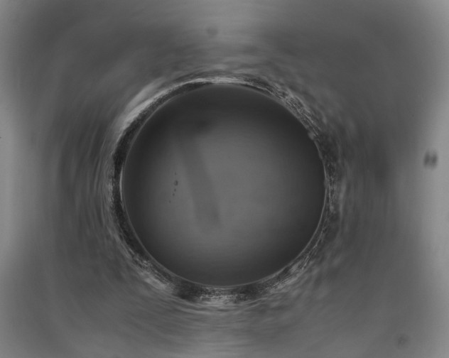 X0000091550295200708171311