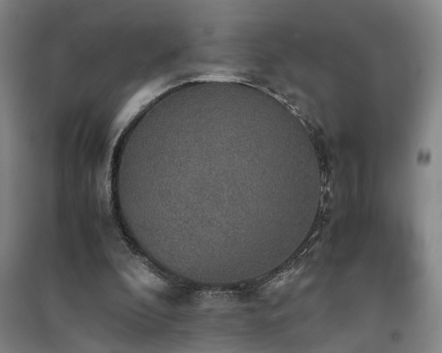 X0000091550296200708171311
