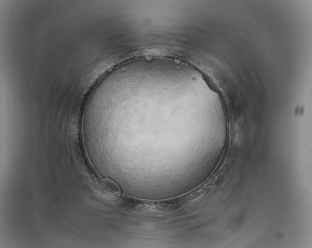 X0000091550297200708171311