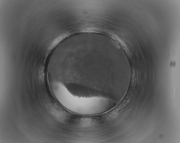 X0000091550298200708171311