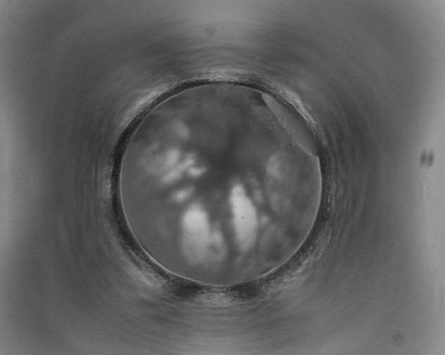 X0000091550299200708171311