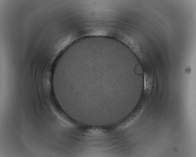 X0000091550300200708171310