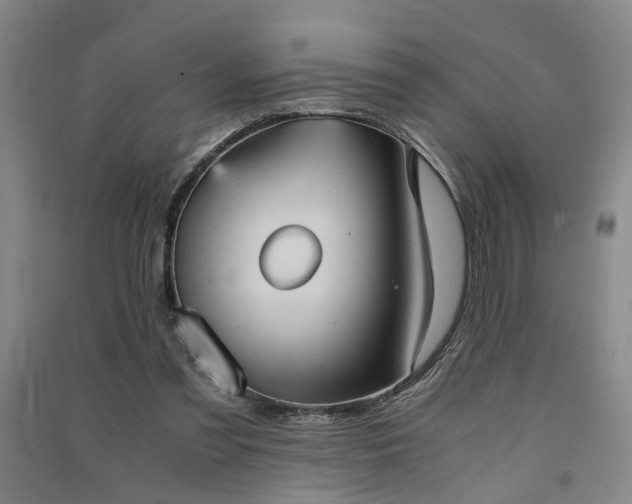 X0000091550301200708171310