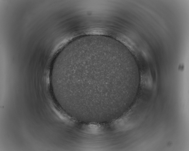 X0000091550302200708171310