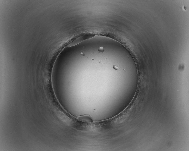X0000091550305200708171310