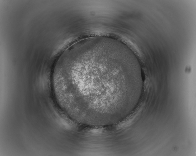X0000091550306200708171310