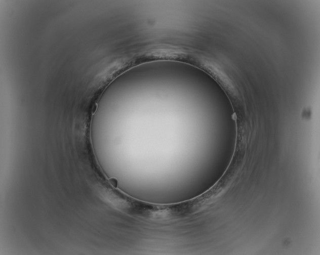 X0000091550309200708171310