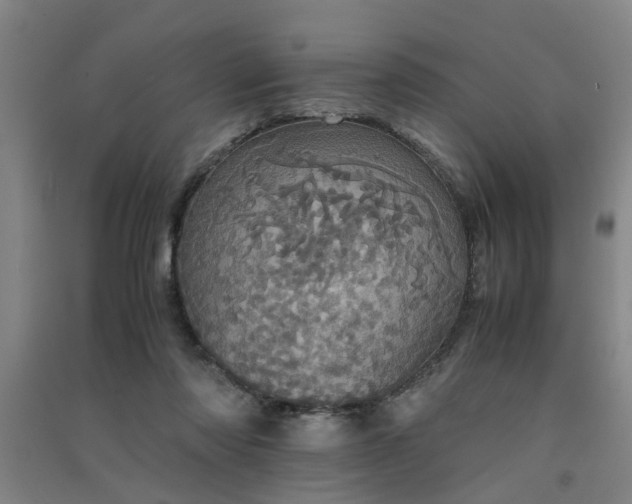 X0000091550310200708171310