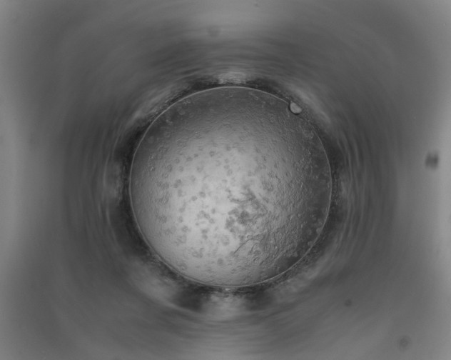 X0000091550311200708171310
