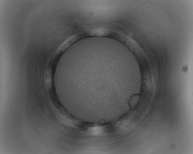 X0000091550312200708171310