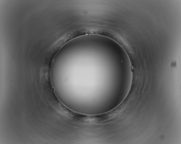 X0000091550313200708171310