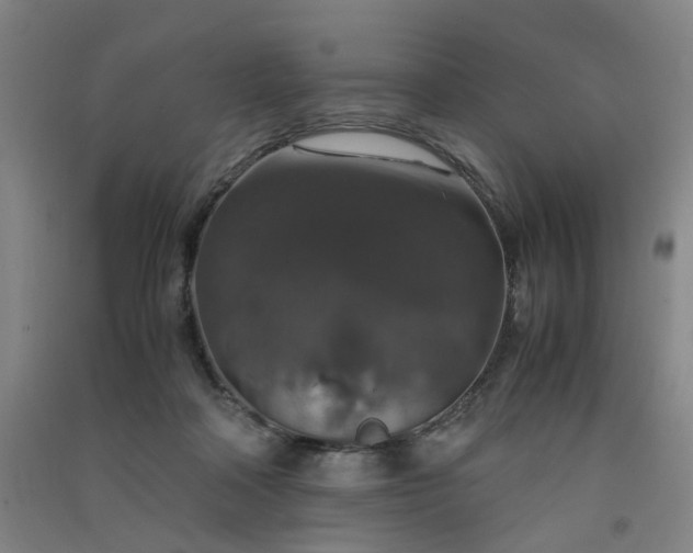X0000091550314200708171310