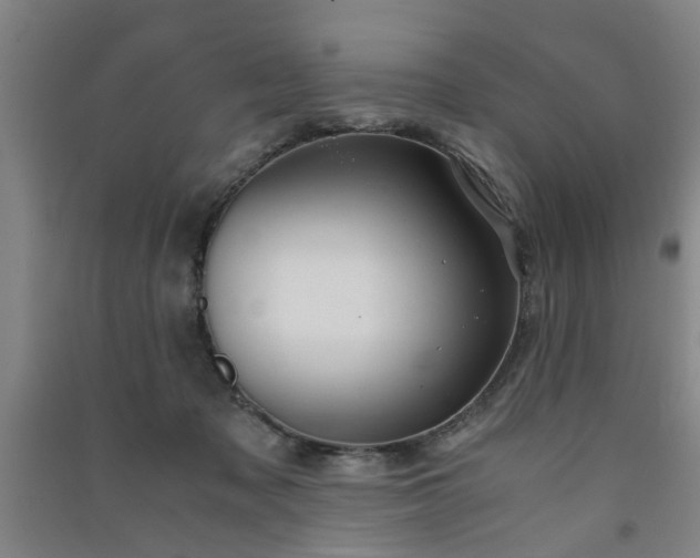 X0000091550317200708171310