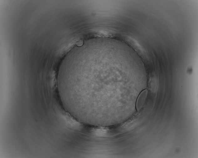 X0000091550318200708171310