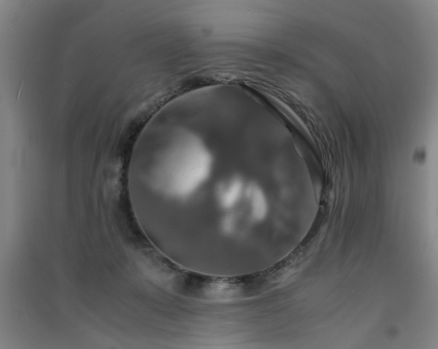 X0000091550319200708171310