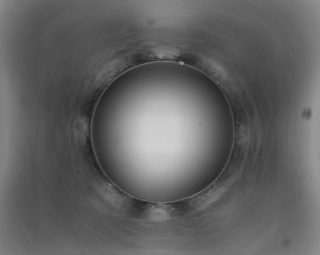 X0000091550321200708171310