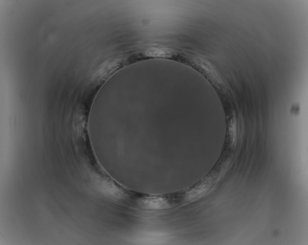 X0000091550322200708171310