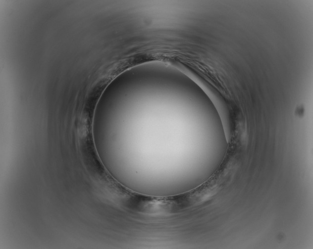 X0000091550323200708171310