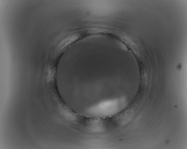 X0000091550325200708171310