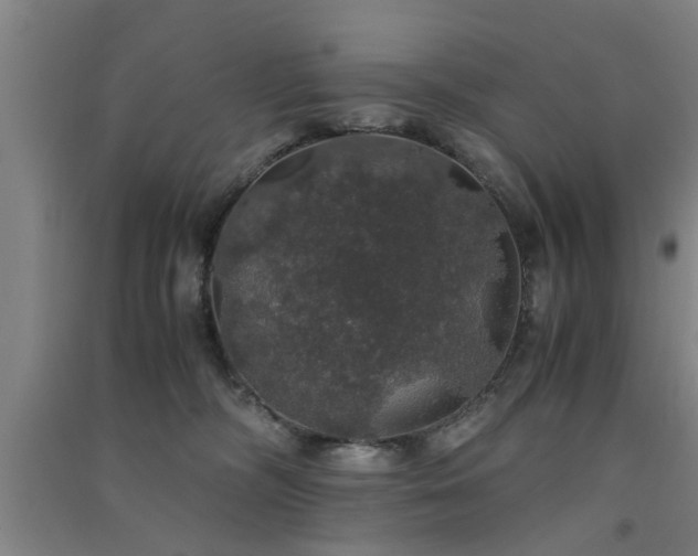 X0000091550326200708171310