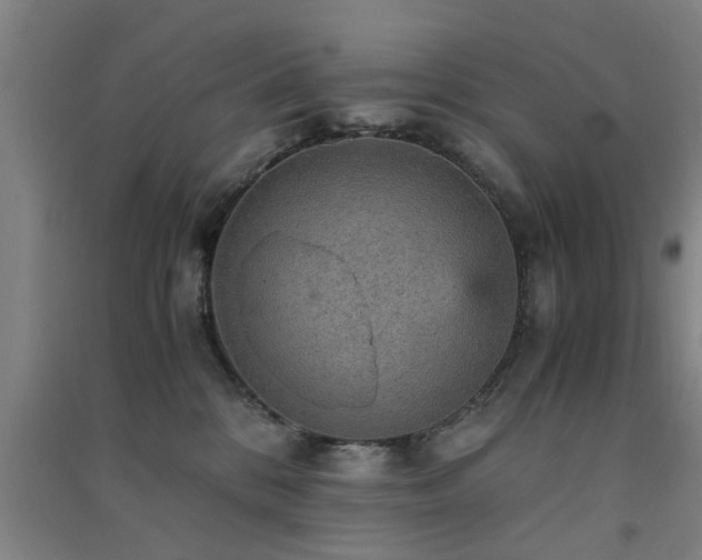 X0000091550328200708171310