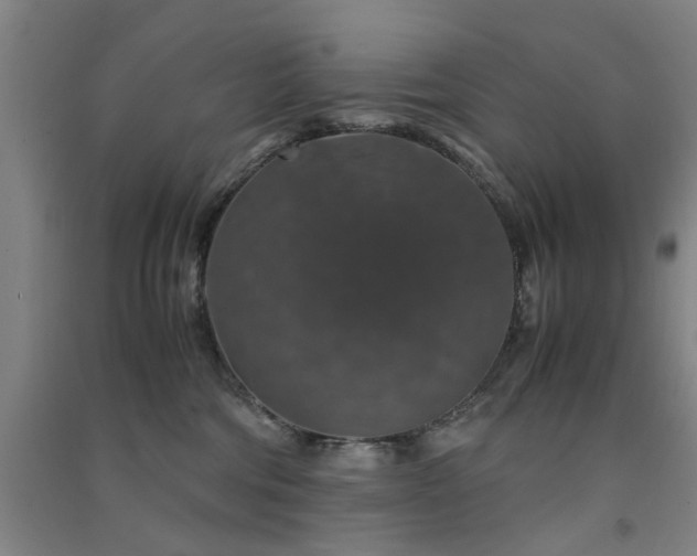 X0000091550330200708171310