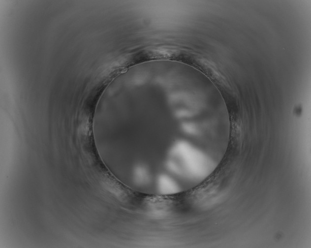 X0000091550331200708171310