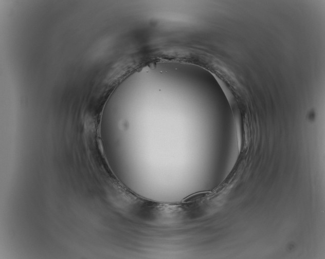 X0000091550333200708171310