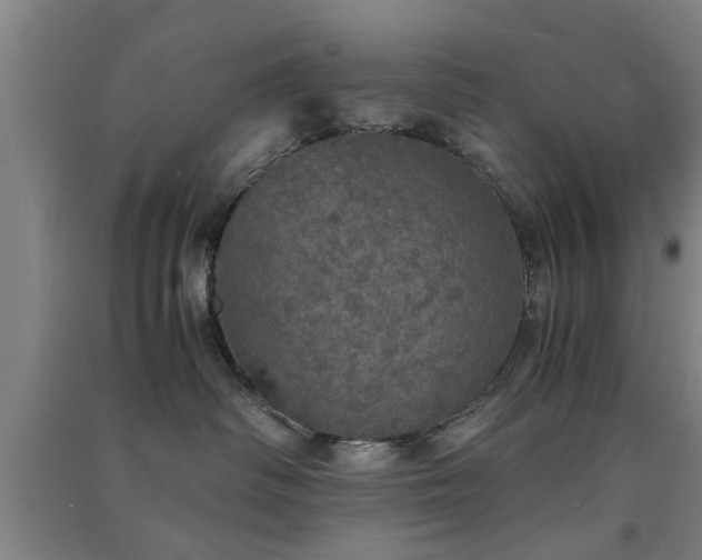 X0000091550334200708171310