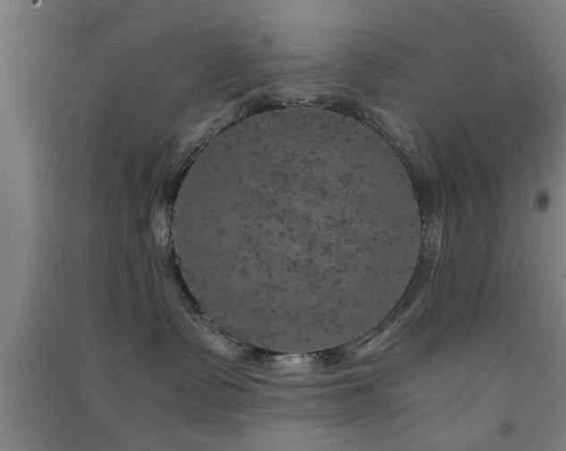 X0000091550335200708171310