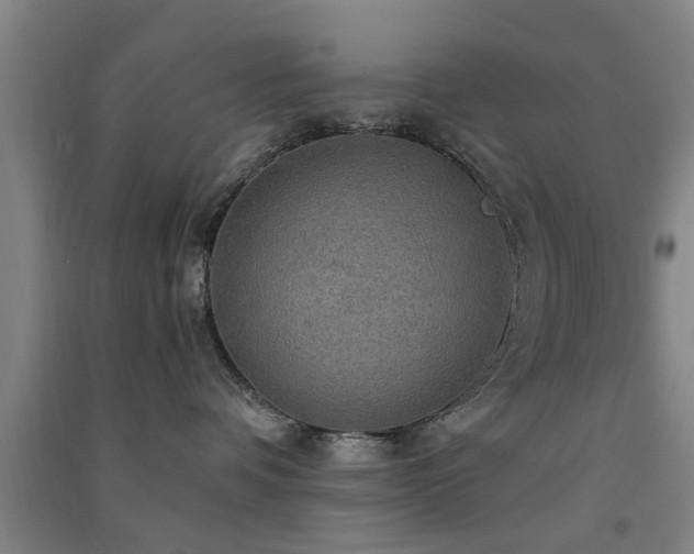 X0000091550336200708171310