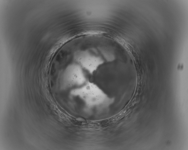 X0000091550337200708171309