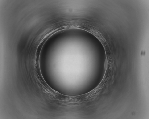 X0000091550338200708171309