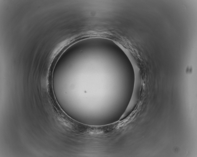 X0000091550340200708171309