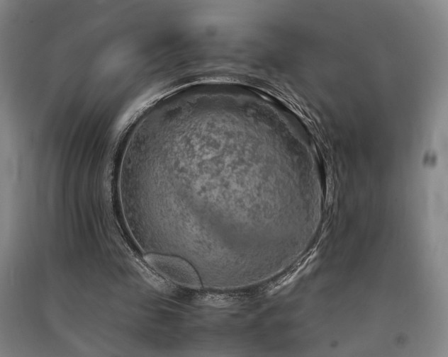 X0000091550341200708171309