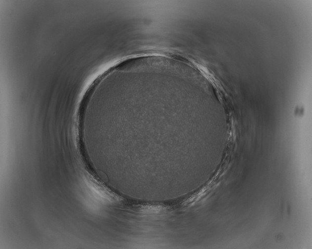 X0000091550342200708171310